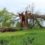 violence et traumatisme psychique